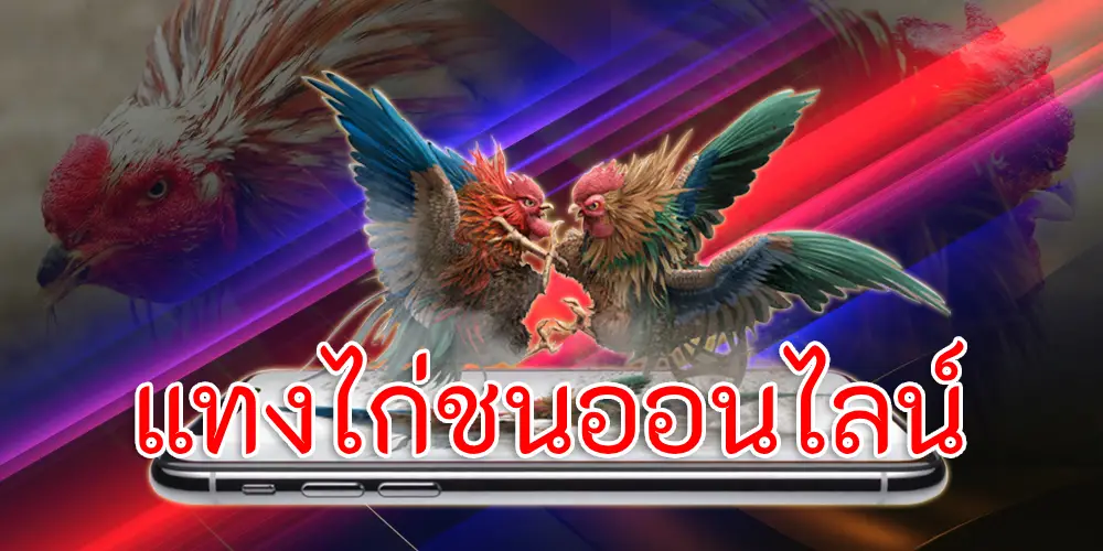 แทงไก่ชนออนไลน์